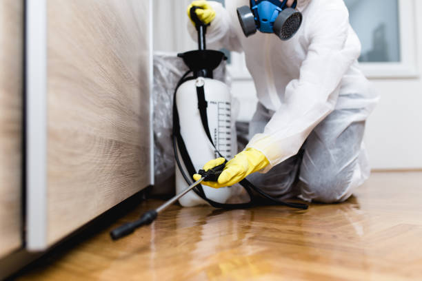 Best Best Pest Control Companies  in Brookland, AR