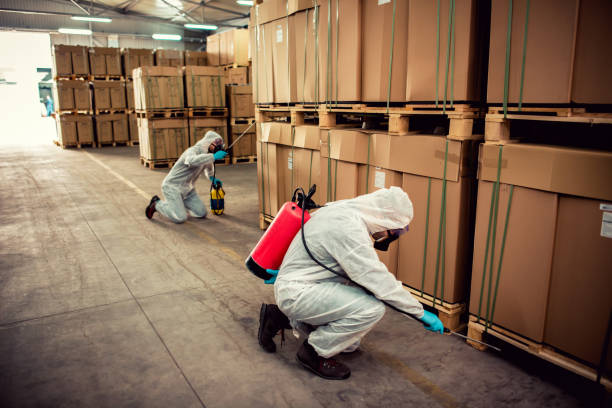 Best Termite Control Services  in Brookland, AR