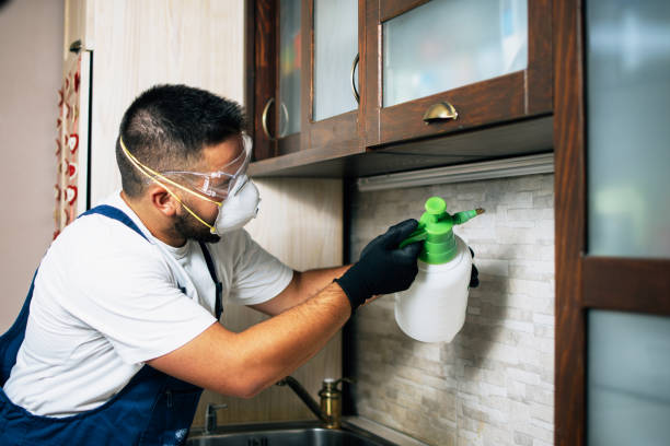 Best Pest Control Near Me  in Brookland, AR