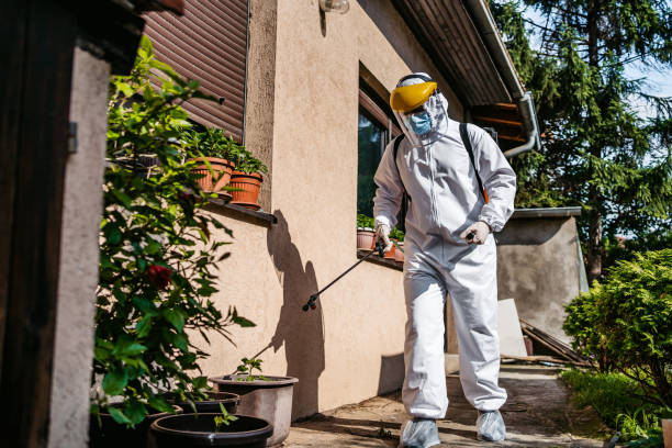 Wasp Removal Services in Brookland, AR