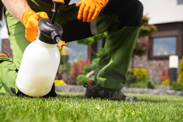 Best Flea Control Services  in Brookland, AR