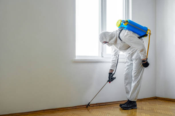 Best Pest Removal Services  in Brookland, AR