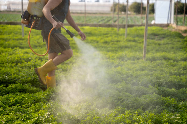 Best Residential Pest Control  in Brookland, AR