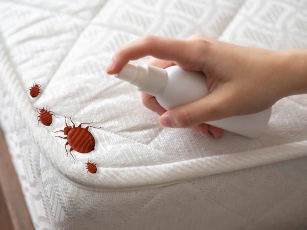 Pest Control for Restaurants in Brookland, AR