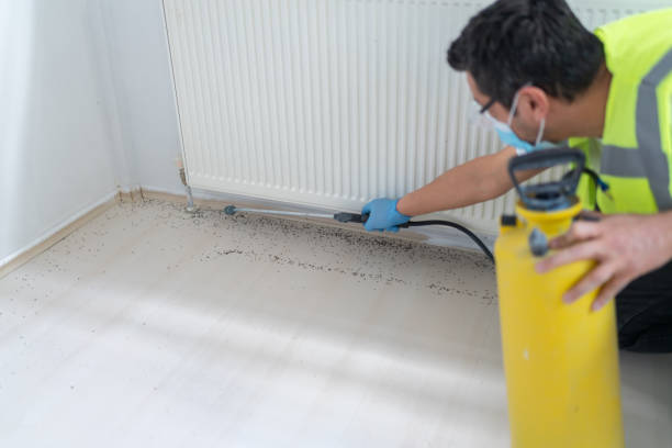 Best Pest Control for Restaurants  in Brookland, AR