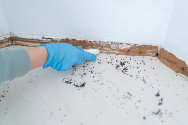 Wildlife Control Services in Brookland, AR