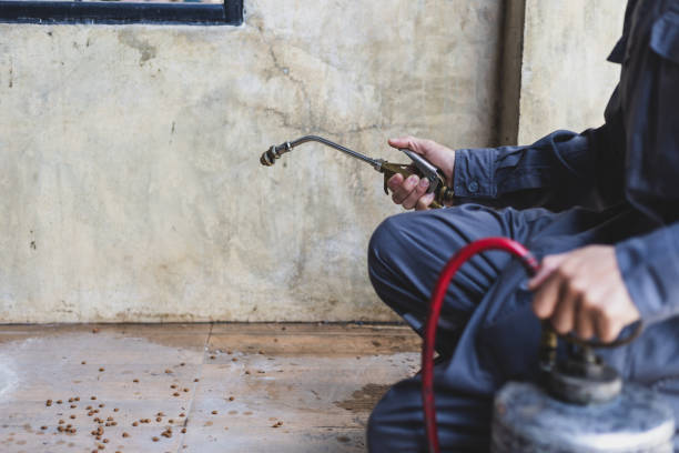 Best Pest Prevention Services  in Brookland, AR